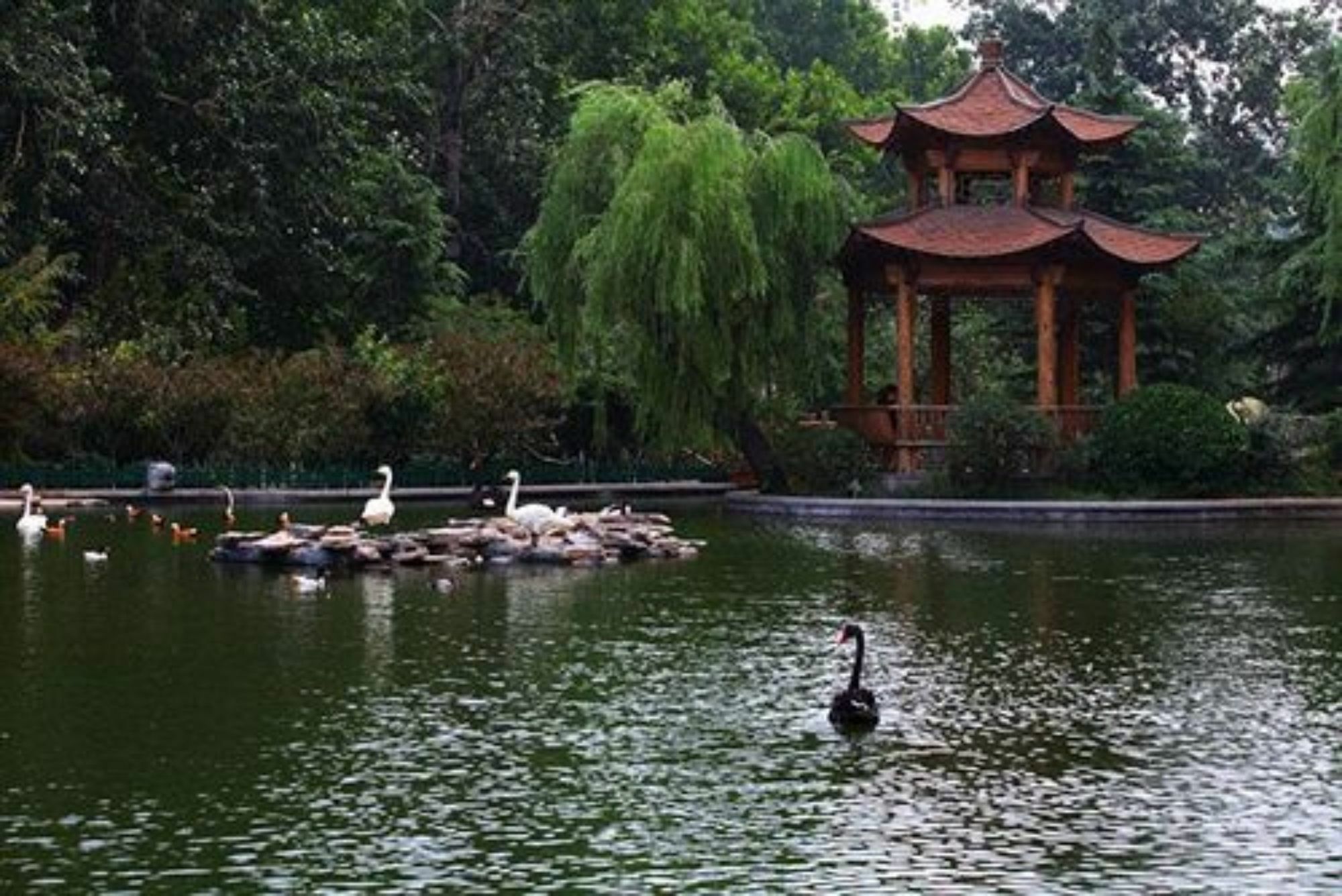 Shan Dong Hotel Jinan Eksteriør bilde